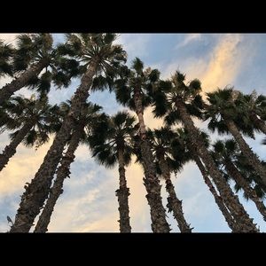 Meet your Posher, Mike